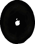 Diablo2_AuraInspirationCast.gif Diablo2_AuraInspirationCast.gif