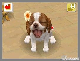 NintendogsFebruary2005Screenshot20.jpg NintendogsFebruary2005Screenshot20.jpg