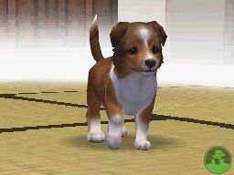 NintendogsMarch14-2005Screenshot22.jpg NintendogsMarch14-2005Screenshot22.jpg