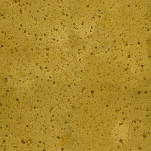 Lbp_Sponge_diffuse_original.tex.png