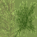 TFA2004_amazon2Level_SHORT_TREE_TEST.png TFA2004_amazon2Level_SHORT_TREE_TEST.png