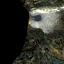 hl2proto_cave002_00_01_00.png