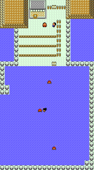 Pokemon_GS_SW99_Route_19.png