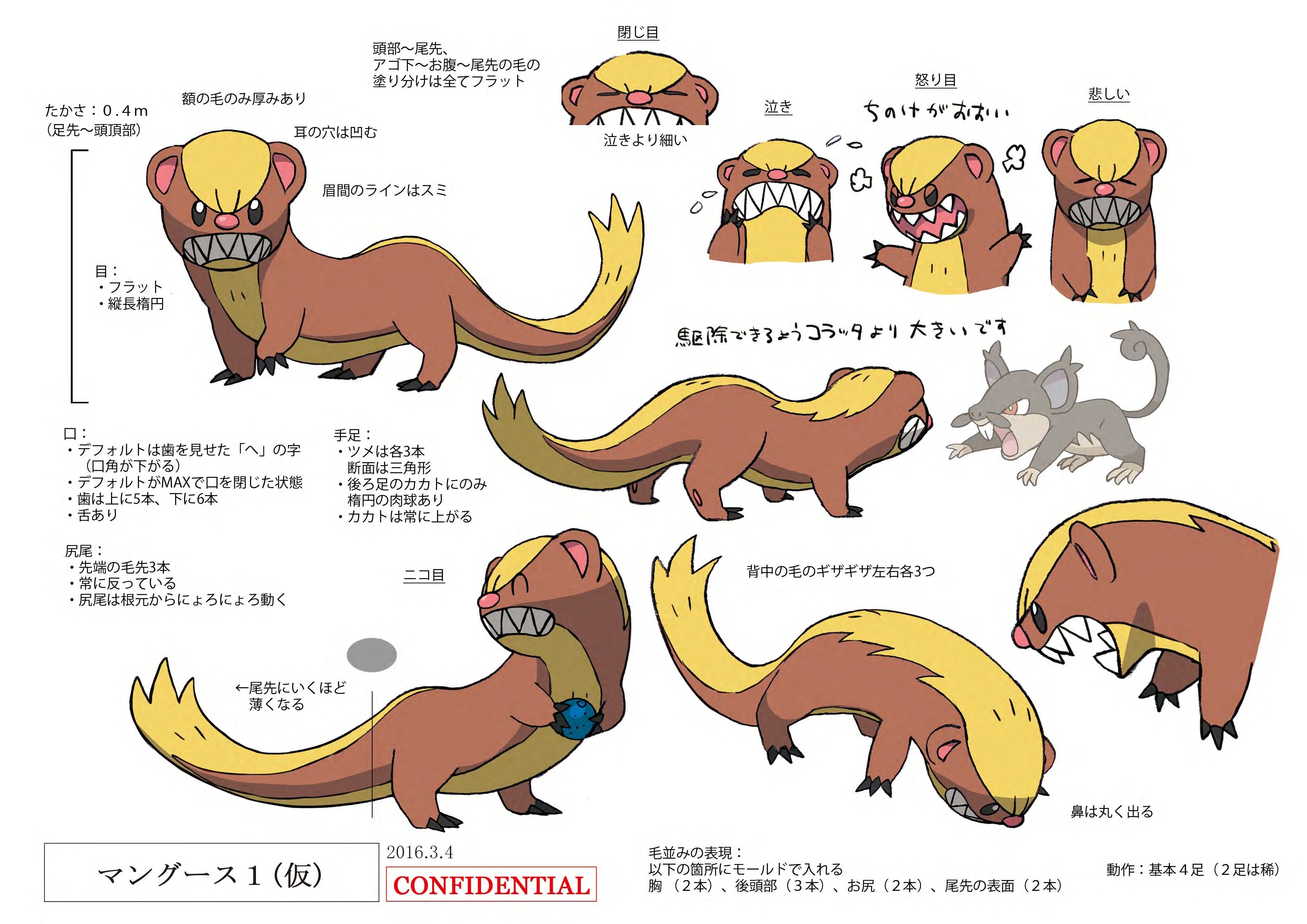 PokeSM_ConceptArt_ヤングース_三面図.jpg