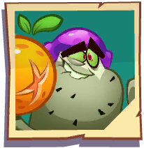 Scratch-Buster seed packet Scratch-Buster seed packet