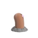NPS_p118-B.png