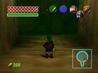 OoTEnvironment_DT_Unused4.png