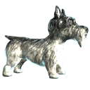 bu_dog bu_dog