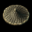 hlmt_046