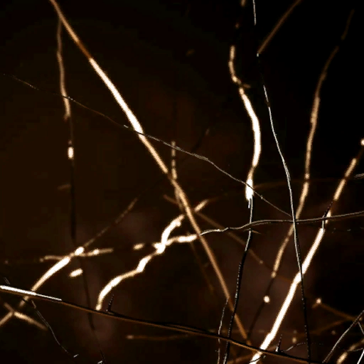 Ensnared (Part 3)