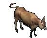 dispel-cow-idle.gif