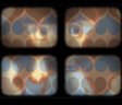 pnm10PS2-mzdmellowM_(2).png pnm10PS2-mzdmellowM_(2).png