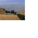 CMR04_xbox_demo_icons_usa_s3.png