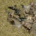 DungeonSiege-b_t_grs02_wal_04x04-b.png
