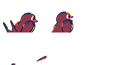 PokeBW_Development_276_back2_r3780.png PokeBW_Development_276_back2_r3780.png