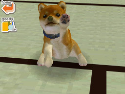 Ds_Nintendogs_ss_05.jpg Ds_Nintendogs_ss_05.jpg