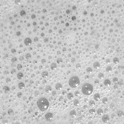BlocklandBeta7_water_foam02.jpg