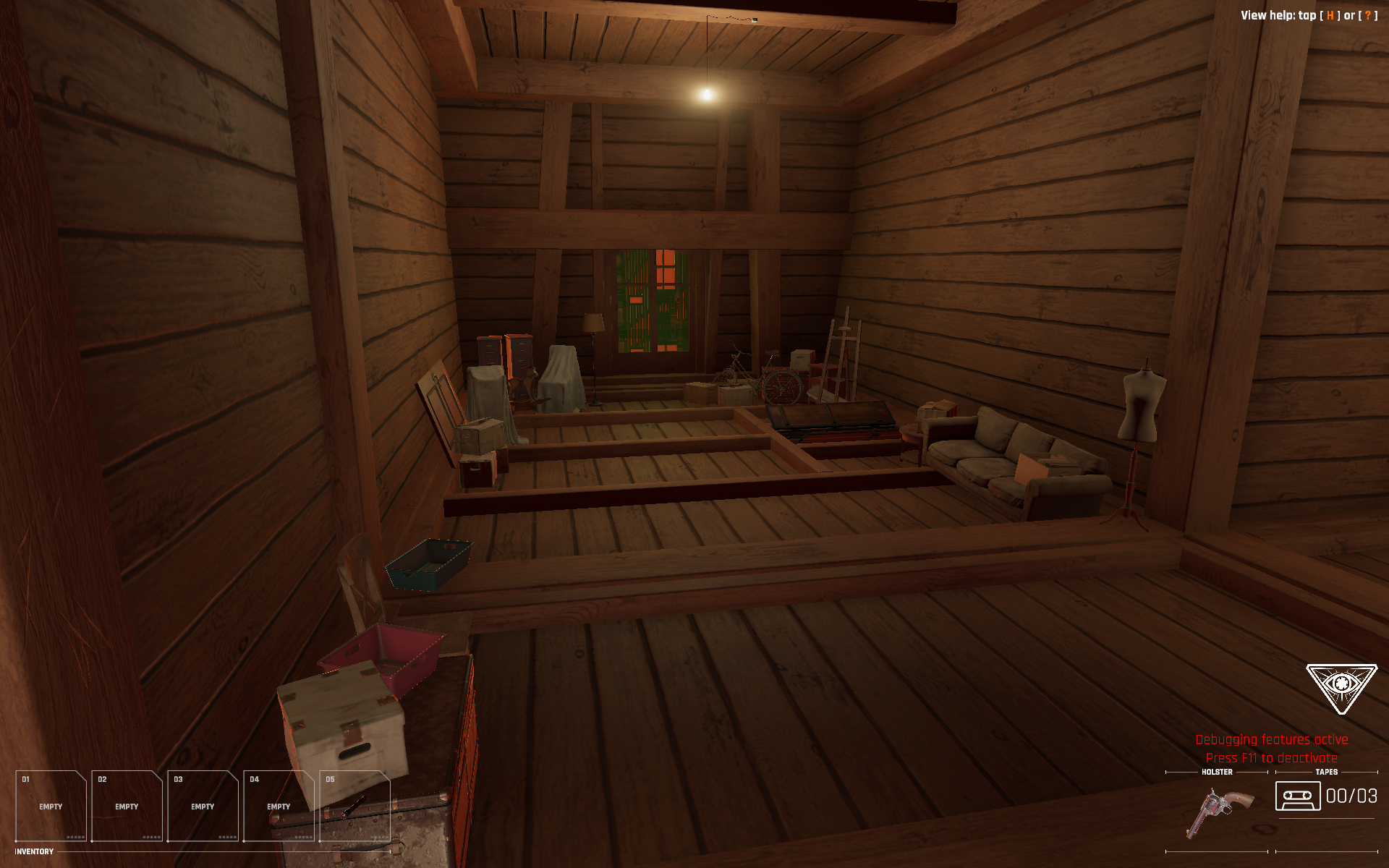 Cluttered attic