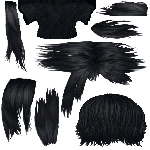 TS2S_afhairsweep-black0_lifo_512x512.png