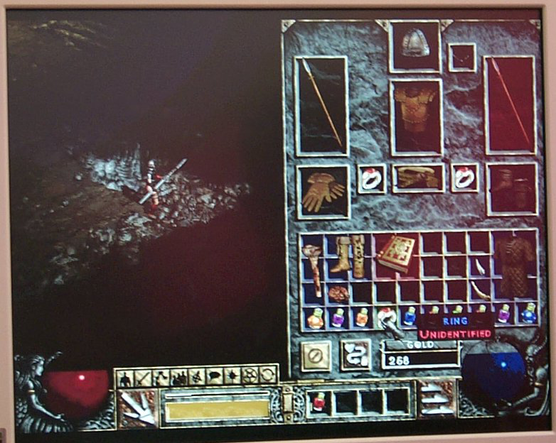 A blurry picture of the player's inventory. The unknown book appears(possibly a Tome of Identify as a 2x2 item?), as well as organs. The convert button looks different than in the other screenshot. Also, ORANGE potions(thrown fire bombs?) can be seen.