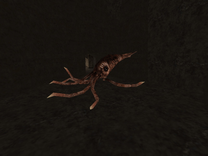 Squid.