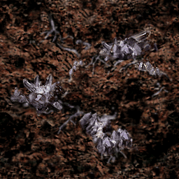 M&M7_Bitmaps_C2bS8.png