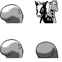 PM2B_202.CBB.w128.png