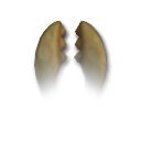 Jaw (Carnivore, 15 DNA) Jaw (Carnivore, 15 DNA)