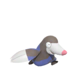 NPS_p135-B.png