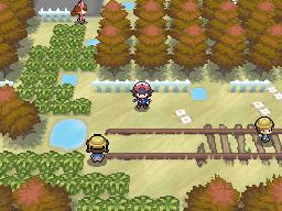 Pinwheel Forest