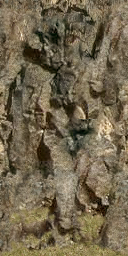 DungeonSiege-b_t_grs02_wal_04x08-a.png