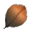 jw_feather_02 jw_feather_02