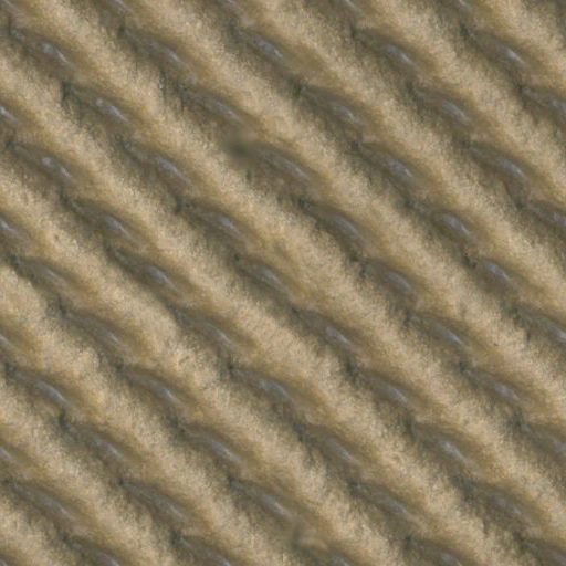 Lbp3_r513946_underlay_diff.tex.png