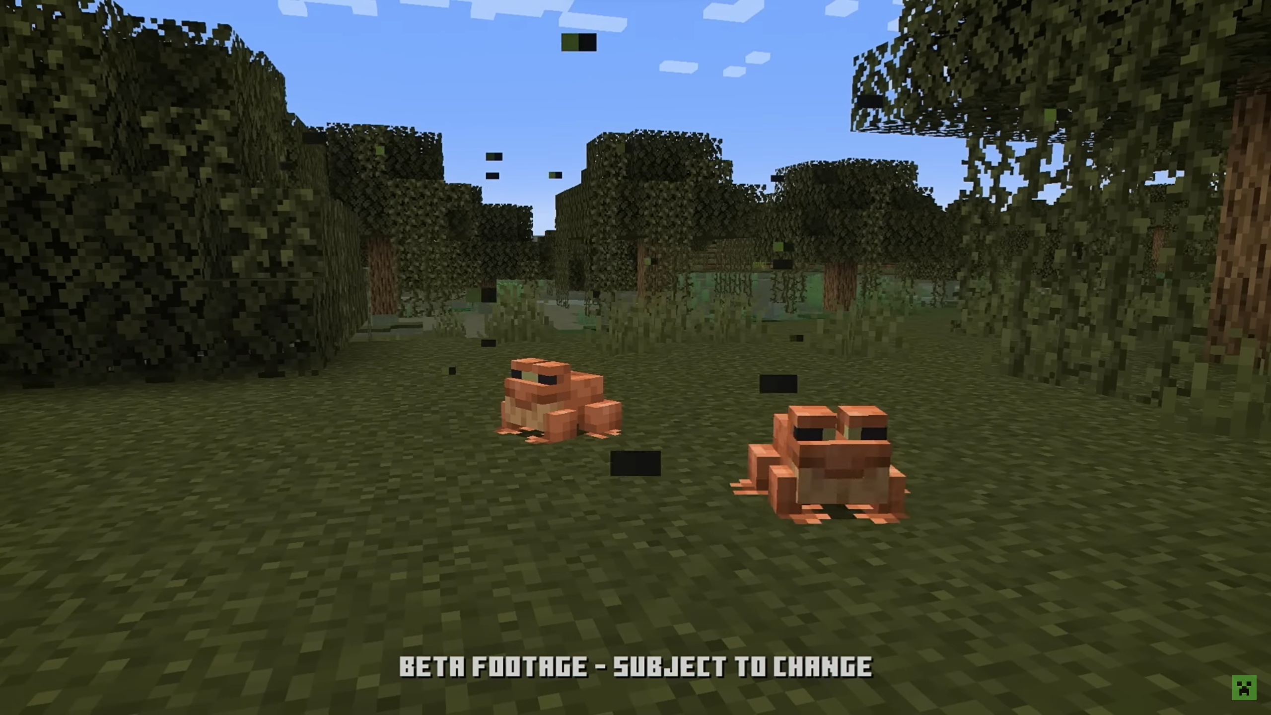 Minecraft_Java_1.19_Fireflies.png