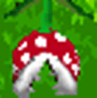 NSMB-development-korean_localisation_docs-enemies-pipe_piranha_plant.png