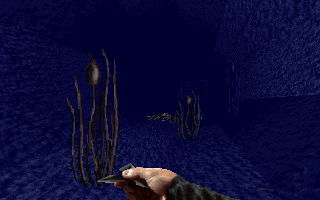 swsep95_e1l3_11.png swsep95_e1l3_11.png