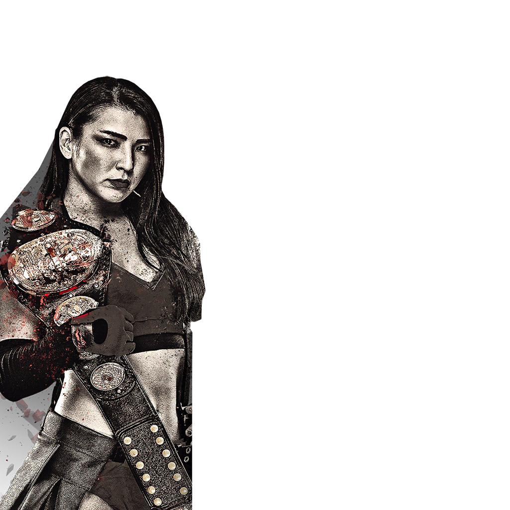 Battle Pass item screen - Hikaru Shida