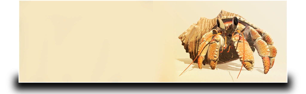 LuminesAriseDemo_style_board_img_024.png