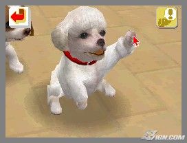 NintendogsFebruary2005Screenshot8.jpg NintendogsFebruary2005Screenshot8.jpg