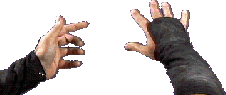 swjan95_2005.png swjan95_2005.png