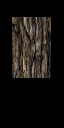 shd_033 shd_033