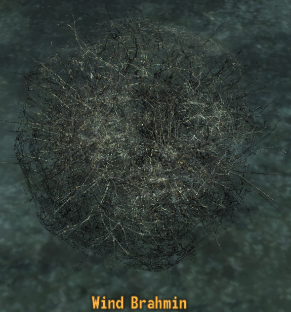 FNV-WindBrahmin.png FNV-WindBrahmin.png