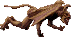 Blood_Gargoyle_GlideSwim1492.PNG