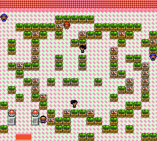 Pokemon_GS_SW99_Goldenrod_Gym.png