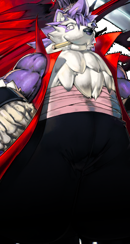 Character select screen portrait