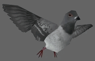 Generations_Pigeon_fly.gif