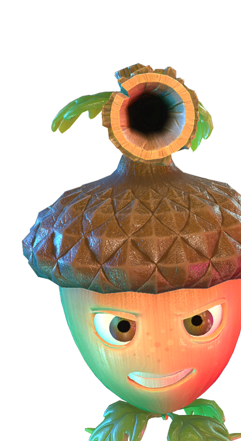 Acorn