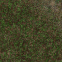 Texture071.png