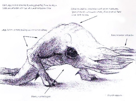 HL_Concept_bullchicken2.png