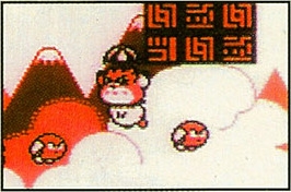 Kirby and Coo have fun violating one-way traffic while they still can before flying cars get invented.